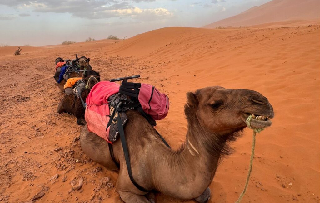 Tour de 4 Días desde Fez al Desierto de Merzouga
